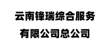 合作伙伴八